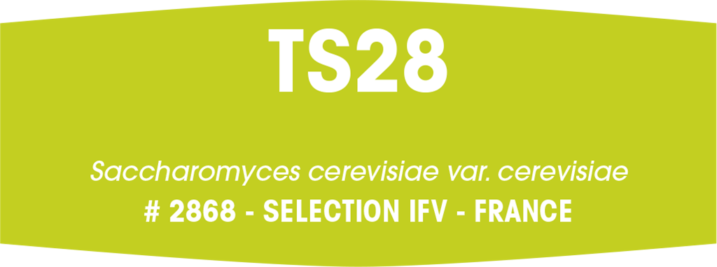 Fermivin TS28 (500 g)